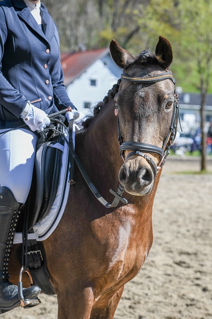 疯狂进球大战！西甲领头羊征服客场，豪取6连胜，领先皇马4分