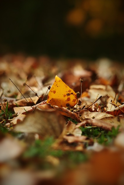 梅西在世界杯踢欧洲球队6进球6助攻！C罗踢南美是0进球0助攻！